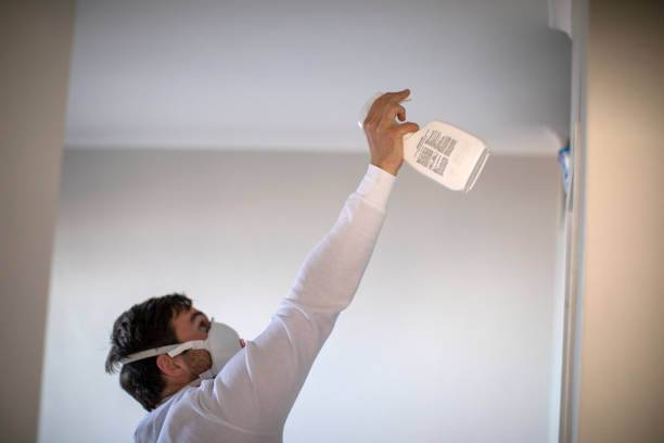 Best Mold Remediation  in Lincoln University, PA