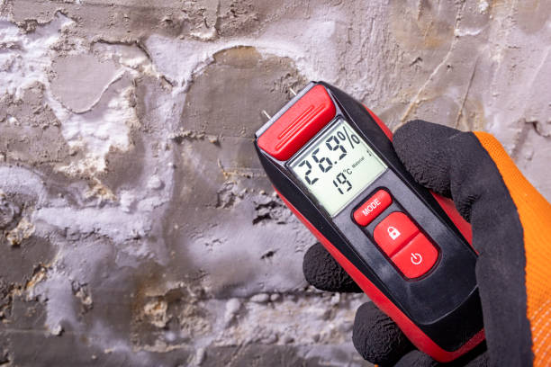 Best Fast Mold Removal  in Lincoln University, PA