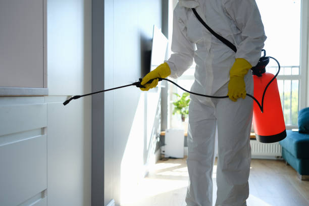 Best Certified Mold Removal  in Lincoln University, PA