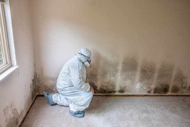 Lincoln University, PA Mold Removal Company